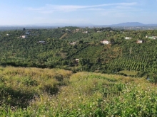 Bán lô đất gần trung tâm có suối view tuyệt vời