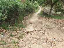 Đất đồi đẹp đường đi dễ dàng