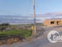 Đất Phổ Thuận Đức Phổ Gần 1000m2(200m2 đất ở) cần bán năm mới