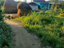 Đức phổ diện tích gần 1100m2 đất BHK bán rẻ cho ai thiện chí mua luôn