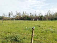 Đất Biển Phổ An Bán đất BHK 1000m2 đẹp rộng như tiên cảnh