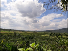 Đất đỏ đẹp, view thoáng, cao hơn mặt đường. Mặt tiền rộng đến 59m