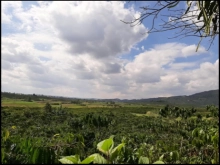 Đất đỏ đẹp, view thoáng, cao hơn mặt đường. Mặt tiền rộng đến 59m