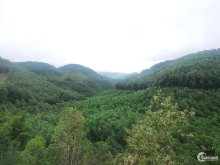 Bán đất CHN giá cực tốt để đầu tư tại huyện Ea Kar - Daklak