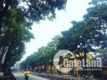 Bán đất Lê Thanh Nghị 240m2 mặt phố giá chào 58 tỷ có thương lượng