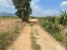 Đất Hàm Tân 3,8sào đường bao quanh đất