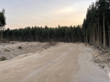 Bán 600 mặt tiền kênh Thủy Lợi-Tân Xuân-LaGi giá chính chủ