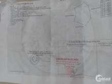 Chủ cần bán nhanh lô đất có sẵn vườn cây đang thu hoạc