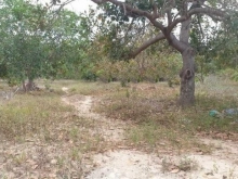 Bán hơn 2 mẫu đất cực đẹp xã Tân Đức