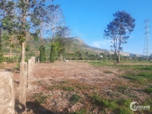 Bán nhanh lô đất Quốc Lộ 55, Thị Trấn Tân Nghĩa, Hàm Tân, mua đầu tư, Phân lô.