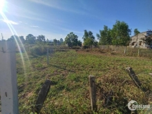 478m2 (126m2 thổ cư) cách QL55 200m, giá rẻ