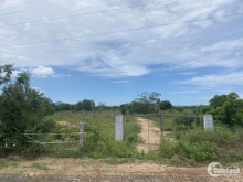 Bán 2ha mặt tiền đường nhựa, thôn 6 Hàm Chính, Hàm Thuận Bắc