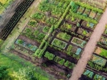 Chính chủ bán lô 2000m nhà vườn, liền kề UBND Hàm Chính, sổ đỏ