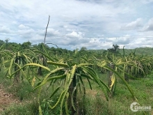 Cơ Hội Rất tốt để đầu tư đất Phan Thiết