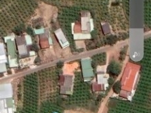 Diện tích 260m2 có 140m2 CLN + 120 ONT Hàm Mỹ- Hàm Thuận Nam bán rẻ trước tết