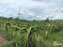 Cơ Hội Rất tốt để đầu tư đất Phan Thiết - Bình Thuận