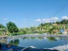 Bán 1.82ha Tân Thuận, Hàm Thuận Nam, Bình Thuận