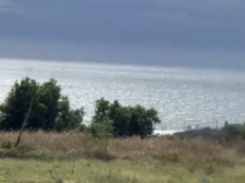 Siêu phẩm 5800 m2 sát đường 719B view full biển