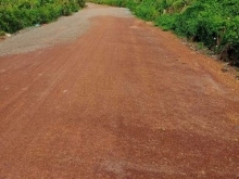 Bán vườn 1350 trụ thanh long dt 1ha2