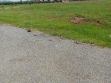 Đất thổ cư xã Mương Mán huyện Hàm Thuận Nam