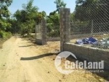 cần bán đất rẻ 538m2 đất trồng cây lâu năm + 300m ngoài chỉ 500tr