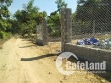 cần bán đất rẻ 538m2 đất trồng cây lâu năm + 300m ngoài chỉ 500tr