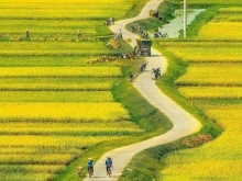 Đất chính chủ cần bán. Chưa qua đầu tư