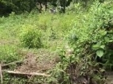 Lô đất nằm tại khu vực đông dân cư thoáng mát