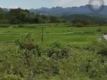 Chính chủ cần bán gấp lô đất thôn với diện tích 720m2