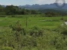 Chính chủ cần bán gấp lô đất thôn với diện tích 720m2