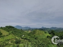 Lô đất chính chủ cần bán đất đẹp tạo cơ hội kinh doanh