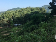 Cần bán mảnh đất siêu đẹp giá siêu rẻ