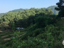 Cần bán mảnh đất siêu đẹp giá siêu rẻ