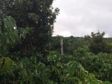 CẦN BÁN 9,2 SÀO ĐẤT GIÁ ĐẦU TƯ CÓ 1 KHÔNG 2 THỊ TRẤN KRÔNG NĂNG