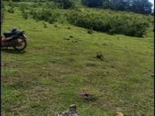 Cần bán gấp lô đất với diện tích 2000m2 giá 610 triệu