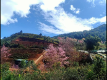 Lô đất có Đường xe bán tải,view hồ suối vàng,view rừng núi