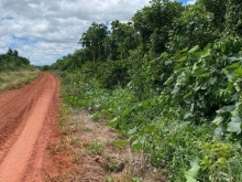 Chính chủ gửi bán mảnh đất siêu đẹp tại Đạ Đờn giá tốt