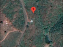 Cần bán nhanh lô đất chính chủ với diện tích 14000m2