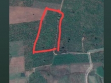 Bán lô đất bằng phăng diện tích 7200m2 giá 1tỷ/ sào