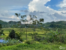 Bán mảnh đất 2675m2 ngay nút giao cao tốc HB-MC giá rẻ.