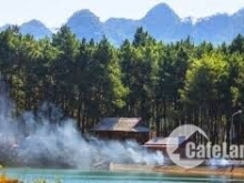 Bán đất Rừng Thông Bản Áng, Mộc Châu, Sơn La