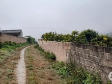 Bán đất TK Hoa Ban – Mộc Châu DT 400m2