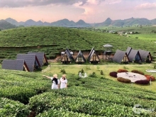 Bán gấp lô đất 6800m2 TC Phiêng Luông, Mộc Châu, Sơn La, giá cực rẻ