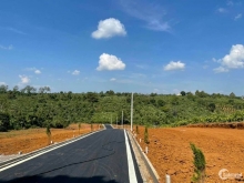 Diện tích 85 mặt tiền 5,2 nở hậu 5,4m đường rộng 3,5m.