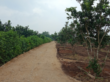 Đất thổ cư lô góc, 67.3m, đường xe tải vào tận nhà, Giá tốt cho nhà đầu tư