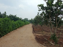 Đất thổ cư lô góc, 67.3m, đường xe tải vào tận nhà, Giá tốt cho nhà đầu tư