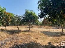 Đất đẹp đường to ô tô vào tận nhà, Giá đầu tư, Dương Quang