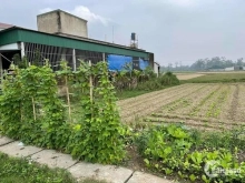 ĐẤT CHÍNH CHỦ SIÊU ĐẸP MẶT ĐƯỜNG HÒA THÁI_ GIÁ BAO RẺ NHẤT THỊ TRƯỜNG.