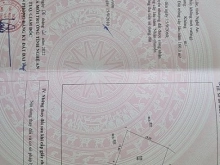 Bán nhanh lô đất thái thọ nghi thái    19×18=360m2