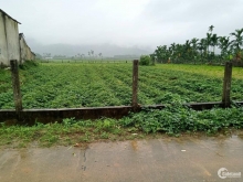 CẦN TÌM KHÁCH THIỆN CHÍ.  Bán 6 sào mốt (3600m2) đất Hành Nhân